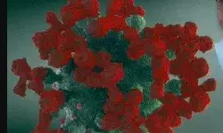 कोरोना की ढाई साल वापसी से सेहत विभाग में मचा हड़कंप-मिले तीन संक्रमित कोरोना की ढाई साल वापसी से सेहत विभाग में मचा हड़कंप-मिले तीन संक्रमित