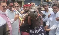 सपेरे बने पूर्व मंत्री ने भैंस के आगे बजाई बीन- बोले गोमाता के नाम.... सपेरे बने पूर्व मंत्री ने भैंस के आगे बजाई बीन- बोले गोमाता के नाम....
