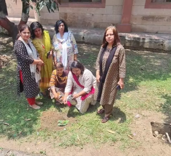 SD कॉलेज ऑफ लॉ में वट सावित्री व्रत के दिन हुआ वटवृक्ष का वृक्षारोपण SD कॉलेज ऑफ लॉ में वट सावित्री व्रत के दिन हुआ वटवृक्ष का वृक्षारोपण