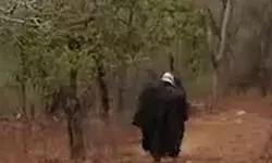 CDO सहित कई अफसरों पर मधुमक्खियों का हमला- ADM की हालत गभीर CDO सहित कई अफसरों पर मधुमक्खियों का हमला- ADM की हालत गभीर