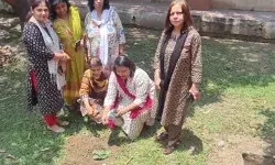 SD कॉलेज ऑफ लॉ में वट सावित्री व्रत के दिन हुआ वटवृक्ष का वृक्षारोपण