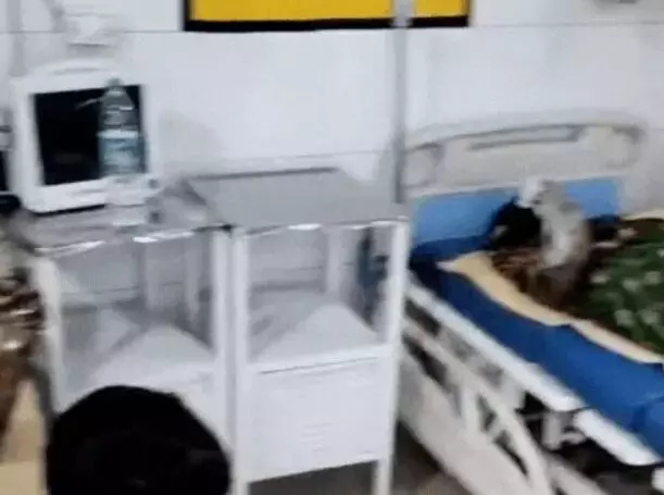 लीकेज की टेस्टिंग के दौरान सिलेंडर में लगी आग- आधा दर्जन लोग... लीकेज की टेस्टिंग के दौरान सिलेंडर में लगी आग- आधा दर्जन लोग...