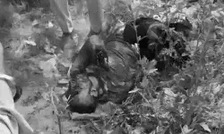 रिहायशी कॉलोनी में फटा बम- ले जाने वाले के हाथ पैर के उड़े चिथड़े रिहायशी कॉलोनी में फटा बम- ले जाने वाले के हाथ पैर के उड़े चिथड़े