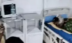 लीकेज की टेस्टिंग के दौरान सिलेंडर में लगी आग- आधा दर्जन लोग... लीकेज की टेस्टिंग के दौरान सिलेंडर में लगी आग- आधा दर्जन लोग...