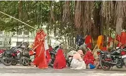 वट सावित्री पूजा के दौरान मधुमक्खियों का हमला- पूजा कर रही महिलाएं.... वट सावित्री पूजा के दौरान मधुमक्खियों का हमला- पूजा कर रही महिलाएं....