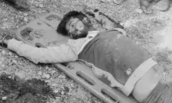 डी फार्मा स्टूडेंट की हत्या-कॉलेज जाते समय बीच सड़क चाकू से गोदा