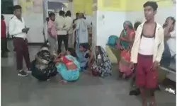 भंडारे पर भैंस का अटैक- बुजुर्ग श्रद्धालु की मौत-कई हॉस्पिटल में भर्ती