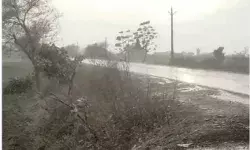 भूस्खलन की चपेट में आई कार गहरी खाई में गिरी- चली गई दो परिवारों के...