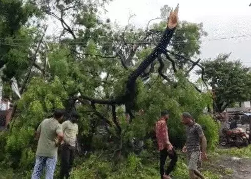 आंधी में उड़ी कैंटीन कार पर गिरी- जड़ से उखड़े कई पेड़- टूटा छज्जा आंधी में उड़ी कैंटीन कार पर गिरी- जड़ से उखड़े कई पेड़- टूटा छज्जा