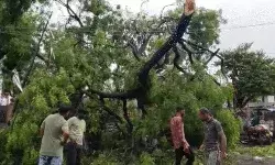 आंधी में उड़ी कैंटीन कार पर गिरी- जड़ से उखड़े कई पेड़- टूटा छज्जा