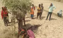 तेज रफ्तार से बेकाबू हुआ ट्रैक्टर खाई में गिरा ड्राइवर की दबकर मौत तेज रफ्तार से बेकाबू हुआ ट्रैक्टर खाई में गिरा ड्राइवर की दबकर मौत