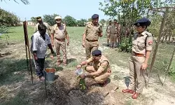 एक पेड़ मां के नाम- एसपी ने वृक्षारोपण कर समझाया वृक्ष का महत्व