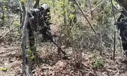 नेशनल पार्क में हुए एनकाउंटर में दो नक्सली ढेर-ऑटोमेटिक हथियार बरामद नेशनल पार्क में हुए एनकाउंटर में दो नक्सली ढेर-ऑटोमेटिक हथियार बरामद