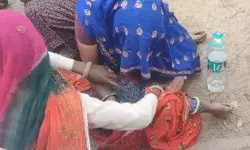 दिशा शौच को गये मंदिर के पुजारी पर बाघ का हमला- बनाया निवाला दिशा शौच को गये मंदिर के पुजारी पर बाघ का हमला- बनाया निवाला