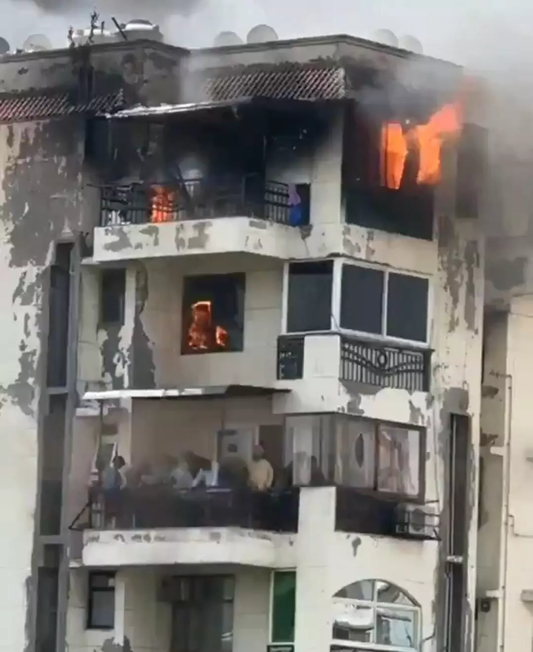 द्वारका के अपार्टमेंट में लगी आग सातवें फ्लोर में फंसे लोग निकाले बाहर द्वारका के अपार्टमेंट में लगी आग सातवें फ्लोर में फंसे लोग निकाले बाहर