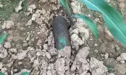 खेत में मिली बम जैसी वस्तु- इलाके में भारी फोर्स तैनात- बम स्क्वायड... खेत में मिली बम जैसी वस्तु- इलाके में भारी फोर्स तैनात- बम स्क्वायड...