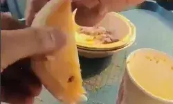 शर्मा जी की चाय एवं बंद मक्खन का स्वाद कॉकरोच ने किया कसैला शर्मा जी की चाय एवं बंद मक्खन का स्वाद कॉकरोच ने किया कसैला