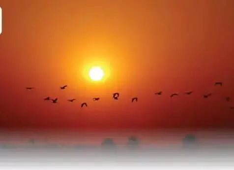 चिलचिलाती धूप में ताला खोलते गश खाकर गिरे कानूनगो की देखते ही देखते... चिलचिलाती धूप में ताला खोलते गश खाकर गिरे कानूनगो की देखते ही देखते...