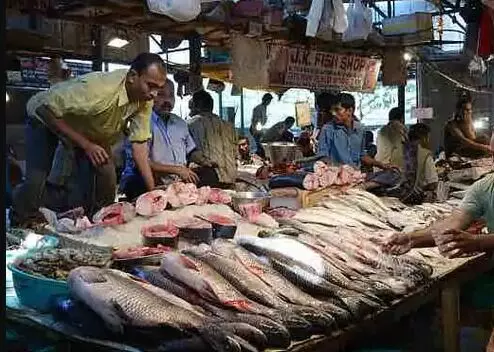 बर्ड फ्लू ने बढ़ाई चिंता- चिकन की बिक्री पर रोक-मछली की मांग हुई दोगुनी बर्ड फ्लू ने बढ़ाई चिंता- चिकन की बिक्री पर रोक-मछली की मांग हुई दोगुनी