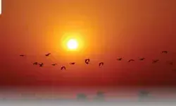 चिलचिलाती धूप में ताला खोलते गश खाकर गिरे कानूनगो की देखते ही देखते... चिलचिलाती धूप में ताला खोलते गश खाकर गिरे कानूनगो की देखते ही देखते...