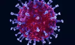 लखनऊ में मिले कोरोना के तीन नए मामले- 79 साल के बुजुर्ग की रिपोर्ट पॉजिटिव लखनऊ में मिले कोरोना के तीन नए मामले- 79 साल के बुजुर्ग की रिपोर्ट पॉजिटिव