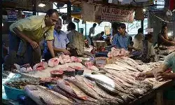 बर्ड फ्लू ने बढ़ाई चिंता- चिकन की बिक्री पर रोक-मछली की मांग हुई दोगुनी