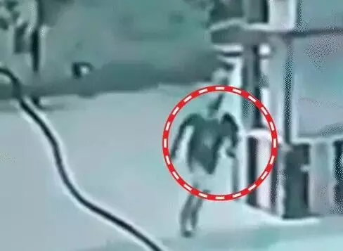 दिनदहाड़े चौकी से 20 कदम दूर लूट- दुकानदार से मारपीट कर लूटी नकदी दिनदहाड़े चौकी से 20 कदम दूर लूट- दुकानदार से मारपीट कर लूटी नकदी