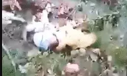 प्लेन के बाद अब हेलीकॉप्टर हादसा- गौरीकुंड क्षेत्र में हेलीकॉप्टर क्रैश प्लेन के बाद अब हेलीकॉप्टर हादसा- गौरीकुंड क्षेत्र में हेलीकॉप्टर क्रैश