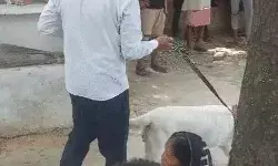 धारदार हथियार से काटकर महिला की हत्या- खाट पर फेंकी लाश