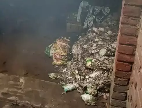 बीज एवं कीटनाशक दवा दुकान में लगी आग- शटर खोलते ही बाहर..... बीज एवं कीटनाशक दवा दुकान में लगी आग- शटर खोलते ही बाहर.....