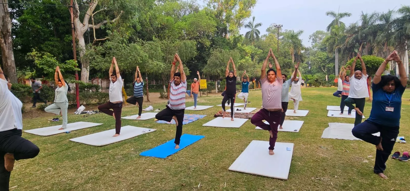 11वां अंतर्राष्ट्रीय योग दिवस, जनमानस में स्वास्थ्य और संतुलन का जागरण- मंत्री कपिलदेव 11वां अंतर्राष्ट्रीय योग दिवस, जनमानस में स्वास्थ्य और संतुलन का जागरण- मंत्री कपिलदेव