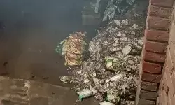 बीज एवं कीटनाशक दवा दुकान में लगी आग- शटर खोलते ही बाहर..... बीज एवं कीटनाशक दवा दुकान में लगी आग- शटर खोलते ही बाहर.....