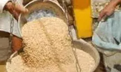 20 जून से शुरू होगा निशुल्क खाद्यान्न का वितरण- नोडल अधिकारी रखेंगे.. 20 जून से शुरू होगा निशुल्क खाद्यान्न का वितरण- नोडल अधिकारी रखेंगे..