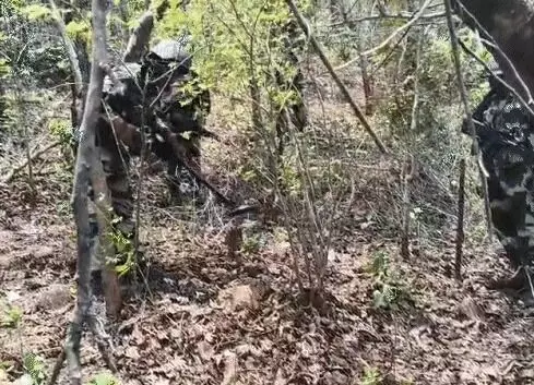 पुलिस और नक्सलियों के बीच फिर मुठभेड़- महिला नक्सली समेत दो ढेर