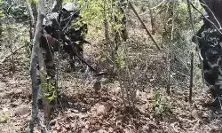 पुलिस और नक्सलियों के बीच फिर मुठभेड़- महिला नक्सली समेत दो ढेर