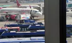 एयर इंडिया के विमान से टकराया पक्षी- उड़ान पर पड़ा यह असर एयर इंडिया के विमान से टकराया पक्षी- उड़ान पर पड़ा यह असर