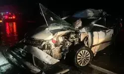 हाईवे पर बेकाबू हुई कार के उड़े परखच्चे- ड्राइवर की मौत- कई घायल हाईवे पर बेकाबू हुई कार के उड़े परखच्चे- ड्राइवर की मौत- कई घायल