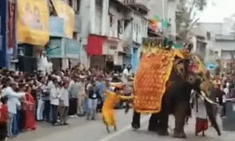 जगन्नाथ रथ यात्रा में आगे चल रहा हाथी हुआ बेकाबू- वन विभाग ने किया..
