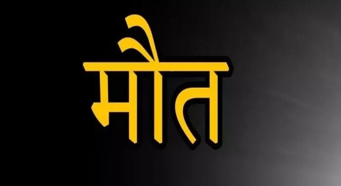हाईटेंशन लाइन में उलझकर दो किशोरों की मौत- मौके से भागे कर्मचारी हाईटेंशन लाइन में उलझकर दो किशोरों की मौत- मौके से भागे कर्मचारी