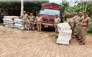 चावल की बोरी में छिपा रखा एक करोड़ रुपए का गांजा बरामद चावल की बोरी में छिपा रखा एक करोड़ रुपए का गांजा बरामद