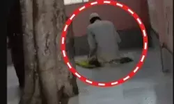 मंदिर के भीतर मुस्लिम व्यक्ति ने पढ़ी नमाज- विरोध के बाद हेड..... मंदिर के भीतर मुस्लिम व्यक्ति ने पढ़ी नमाज- विरोध के बाद हेड.....