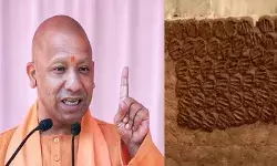 UP सरकार पंचगव्य इकाइयां, गोबर पेंट और जैविक खाद संयंत्र करेगी स्थापित