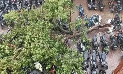 बारिश से बेहाल हुआ मकान भरभराकर गिरा- ट्रांसफार्मर से गाय की मौत