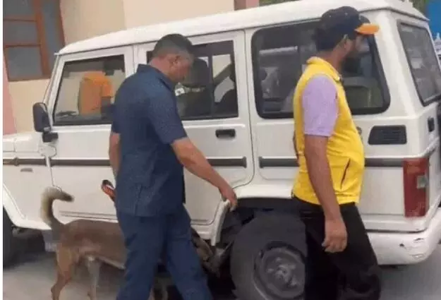 सेशन कोर्ट को बम से उड़ाने की धमकी-पुलिस अफसरों की टीम मौके पर- सर्च.. सेशन कोर्ट को बम से उड़ाने की धमकी-पुलिस अफसरों की टीम मौके पर- सर्च..