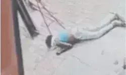 पनीर खरीदने आए युवक पर मौत का झपट्टा- सीढियों से उतरते उतरते.... पनीर खरीदने आए युवक पर मौत का झपट्टा- सीढियों से उतरते उतरते....