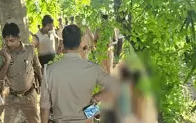 पेड पर लटके मिले युवक-युवती, जांच में जुटी पुलिस पेड पर लटके मिले युवक-युवती, जांच में जुटी पुलिस