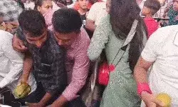 आम महोत्सव में मची लूट- महिलाओं ने पल्लू में बांधी आम की गठरी