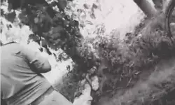 नाबालिग की गला रेतकर हत्या-खेत में पड़ी मिली लाश- परिजनों में कोहराम