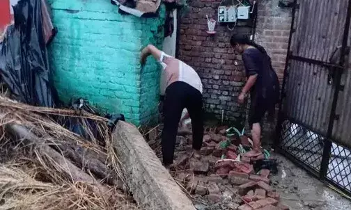 पशुशाला की छत गिरने से तीन मवेशियों की मौत- परिवार के भी तीन लोग..