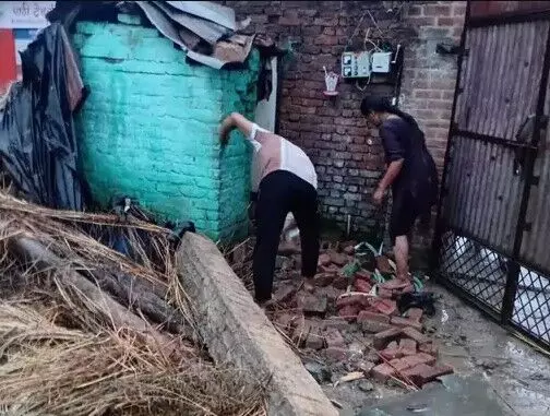 पशुशाला की छत गिरने से तीन मवेशियों की मौत- परिवार के भी तीन लोग..